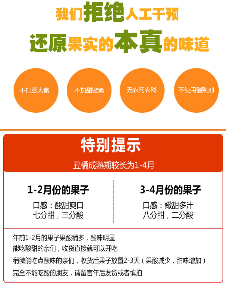 四川蒲江不知火种植户到重庆承包土地种植不知火丑柑带动了当地的经济