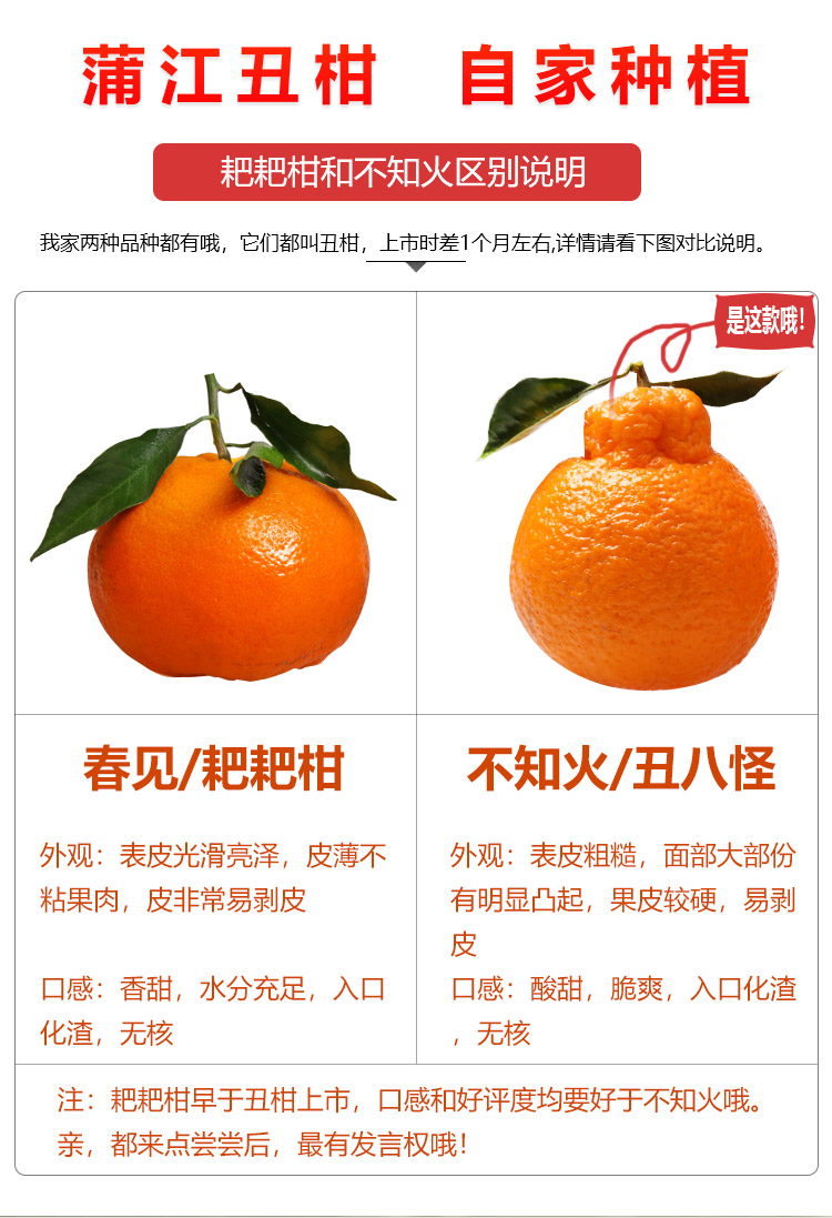 5斤净重包邮_蒲江丑橘不知火_自家种植_现摘直发_品质上成_自产自销（最佳采摘时间：每年2~4月份）